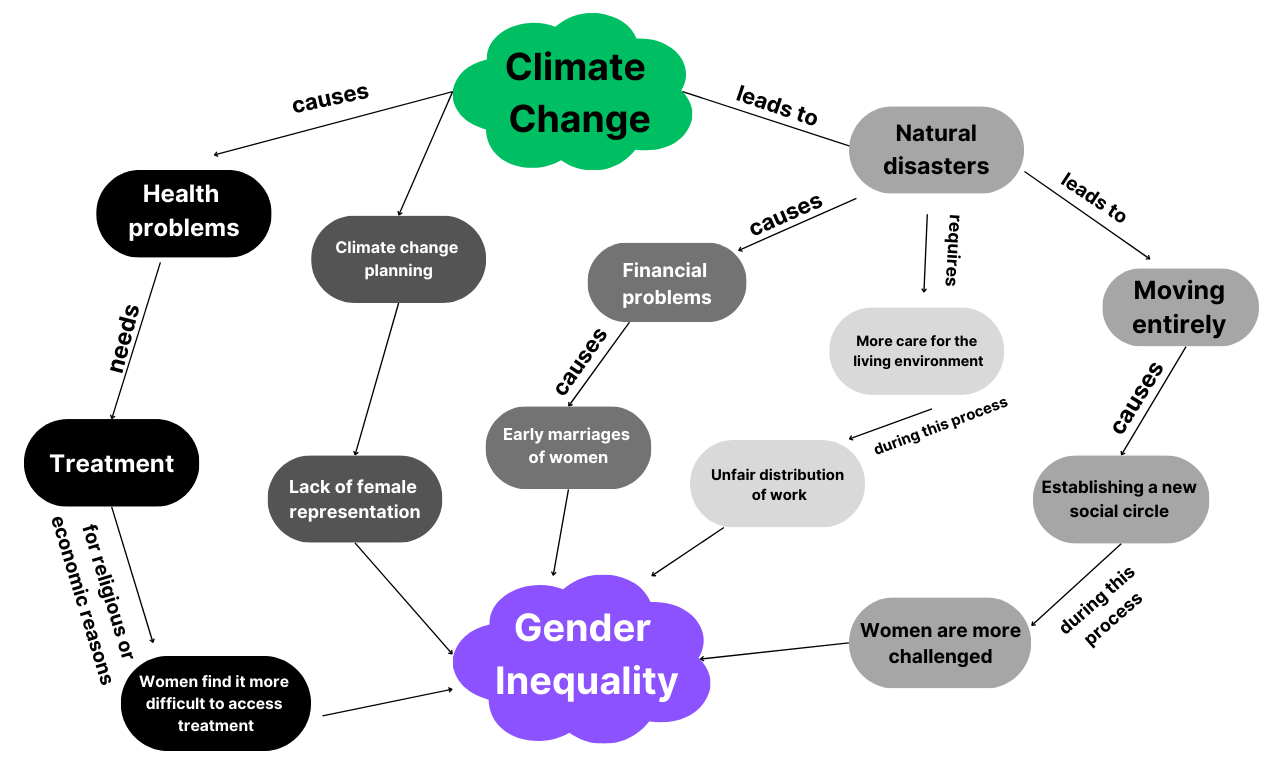 The relationship between gender inequality and climate change in an image